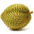 두리안 이미지