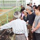 오산흑염소농장 이미지