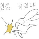 안계미나리농장 이미지