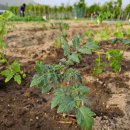 도희농장 이미지