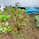 선우정경로당 이미지