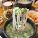 마포설렁탕 | 🍲 공덕역설렁탕 맛있게 먹고 왔어요! [마포양지설렁탕] 솔직 후기