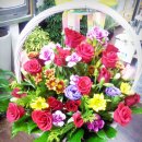 한승희 산부인과 의원 이미지