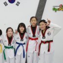 경희대호림태권도장 이미지