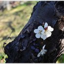 산수마을 이미지