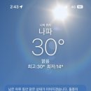 사인벨리 네이버블로그