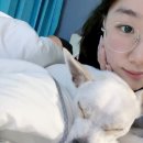 이리온애견펜션
