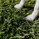 한별 리멤버파크 이미지