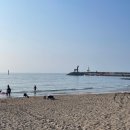 이호정육점 | 제주 : 이호테우해변 가볼 만한 곳! 이용정보부터 튜브 대여, 해변 포차 후기까지