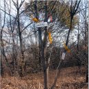 독정2리 이미지