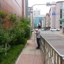 백석대학교부속유치원 이미지