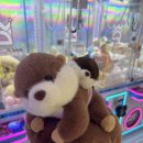 뽑기뽑 | 여수 교동 중앙동 인형뽑기 후기 - 뽑교동