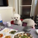 일오삼간장게장 티스토리