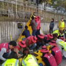 옐로카펫 이미지