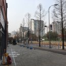 중원도촌-A-3 네이버블로그