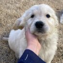 올림푸스원 이미지