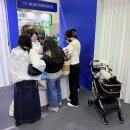 주식회사 메가뉴스