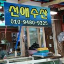 선애수산