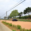 고부경로당 | 정읍시 - 보화리 석조 이불입상, 관청리 근대한옥, 해정사지 석탑, 용흥리 석불입상