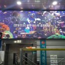 서울새롬학교 이미지