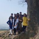 임주초등학교 이미지