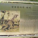 영천 영지사 대웅전 이미지