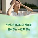 씨 (SI) | 스칼프 명상, 정신 건강에 어떤 도움이 될까? 실제 체험 후기 중심으로