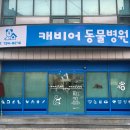 호크종합동물병원 티스토리
