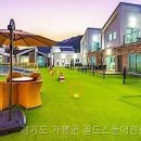 골드애견 이미지