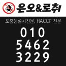 대구 바퀴벌레,개미,쥐,먼지다듬이 퇴치, 박멸 업체!