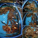 영덕수산시장 이미지