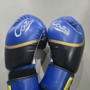 완주 JY 다이어트 복싱클럽 이미지