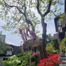 대산세무회계 - 강남구 논현로97길 35 | 대산세무회계