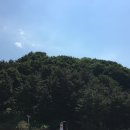 삼척바다엔 | 삼척 덕봉산해안생태탐방로 후기｜바다를 보며 걷기 좋은 산책 코스, 정상 전망까지!🌿