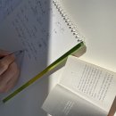 홍규농장 이미지