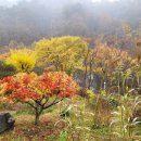 홍천밸리 이미지