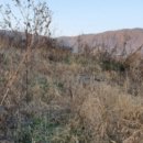 양주산성로 이미지