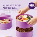 타파웨어(베스트) 이미지