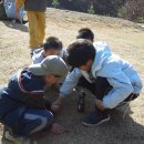 신답초교 이미지