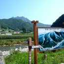 매봉산1 이미지