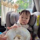 본죽 | 11개월이유식 고민 끝! 외출에도 편한 베이비본죽 후기2 시판이유식추천