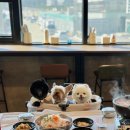 양양 애견동반 식당 강원도 강아지 여행 중 아침식사 가능한 어촌마을물회섭국