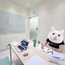 위드나요 이미지