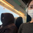 호텔 비지니스 | 2026년 1월