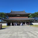 백제민속한과 | 부여 놀거리 부여 백제문화단지 미디어아트 백제문화제 폐막식 가수 리뷰