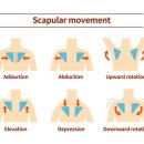 리파인짐PT 분당야탑점 이미지