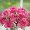 월평중로 이미지