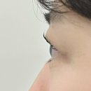 가희브로우