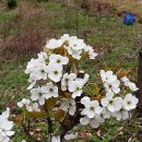 망향의동산 화장실 이미지