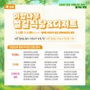 이팝솜사탕 이미지